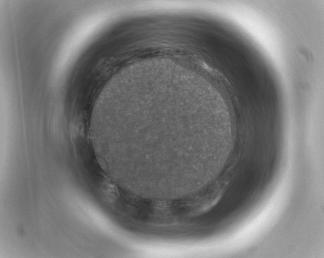 X0000115260766200911271925