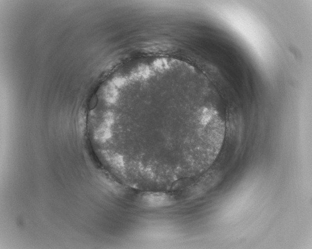 X0000115260767200911271925