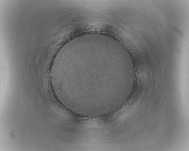 X0000115260769200911271925