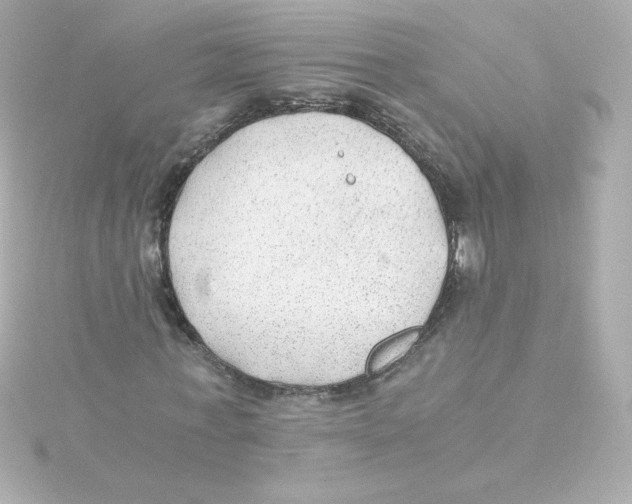 X0000115260771200911271925