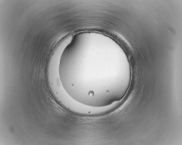 X0000115260777200911271925