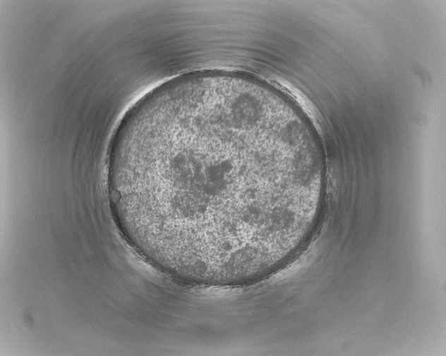 X0000115260779200911271925