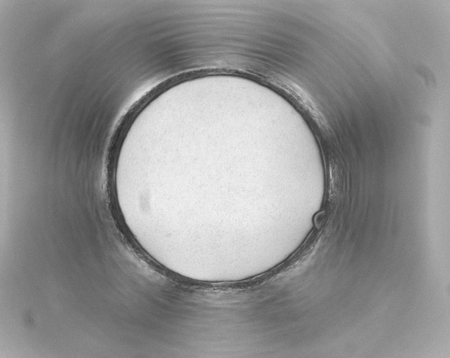 X0000115260780200911271925