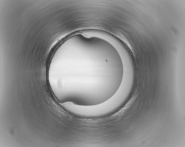 X0000115260781200911271925