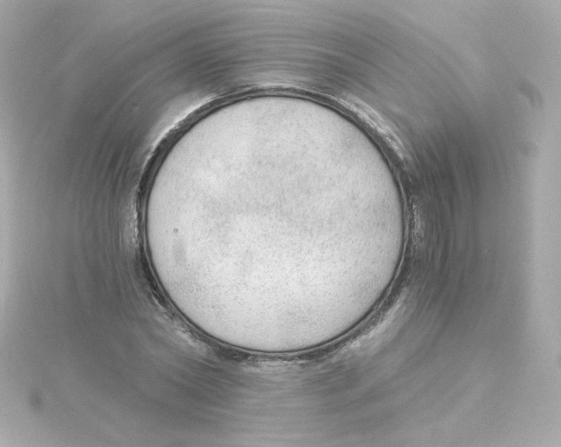 X0000115260782200911271925