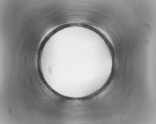 X0000115260783200911271925