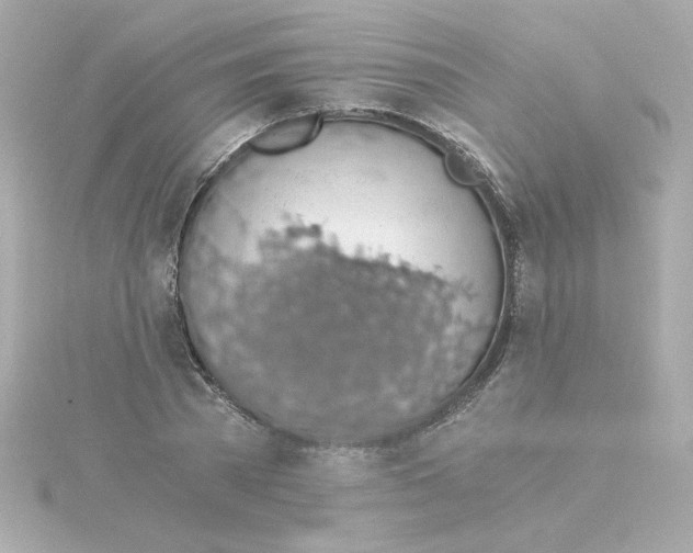 X0000115260785200911271925