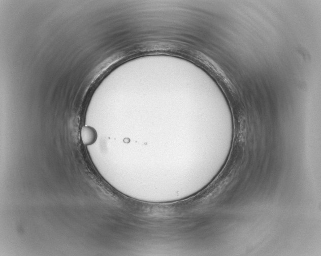 X0000115260786200911271925