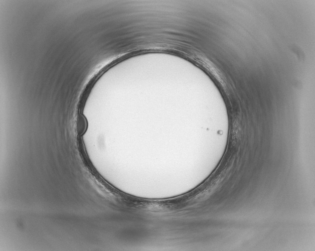 X0000115260787200911271925