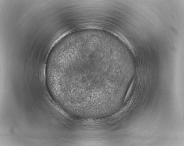 X0000115260790200911271925