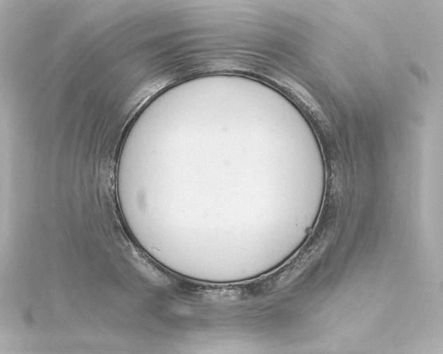 X0000115260793200911271925