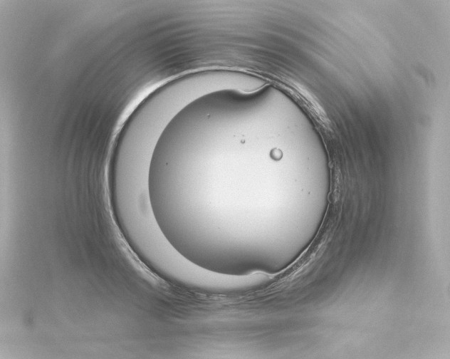 X0000115260796200911271924