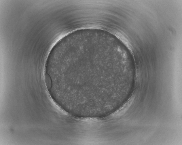 X0000115260797200911271924