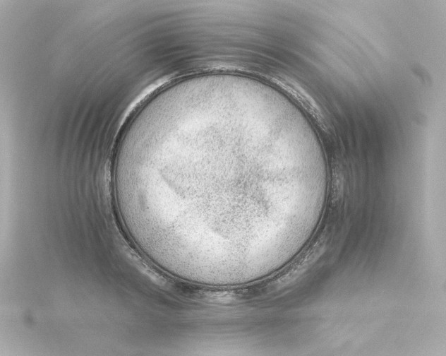 X0000115260798200911271924