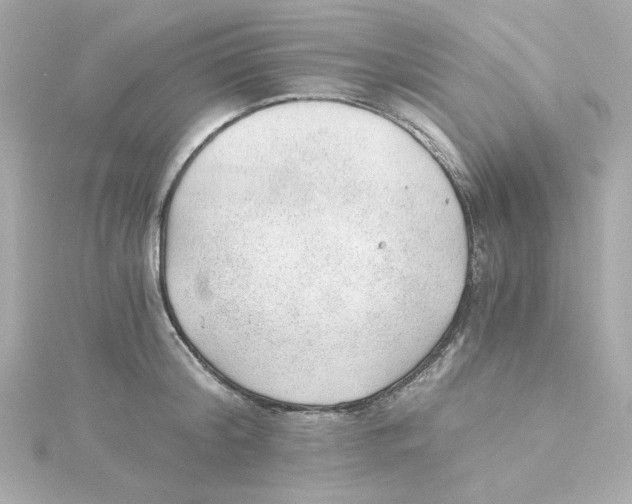 X0000115260804200911271924