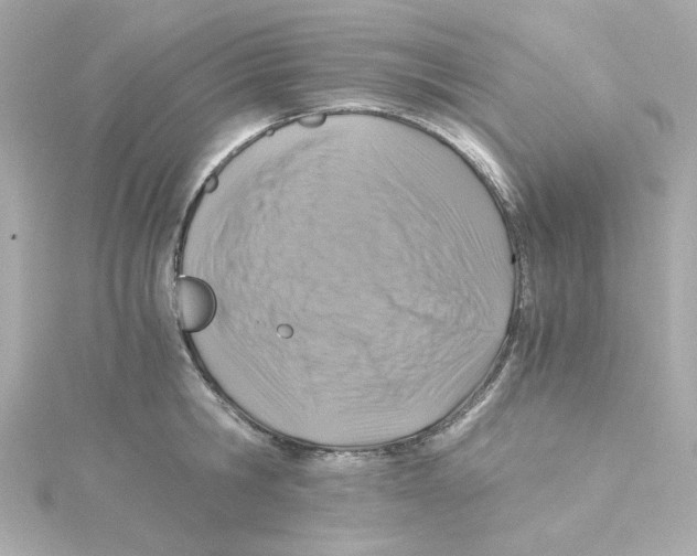 X0000115260806200911271924