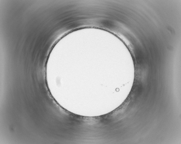 X0000115260807200911271924