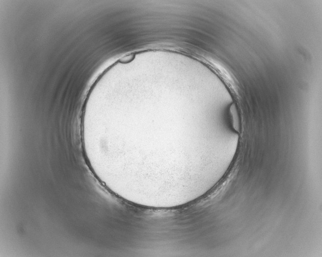 X0000115260808200911271924