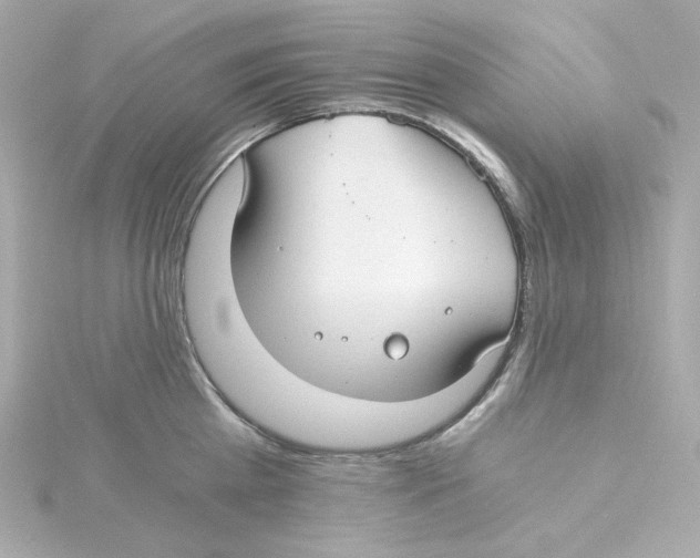 X0000115260809200911271924