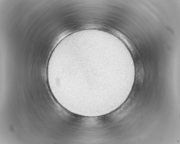 X0000115260810200911271924