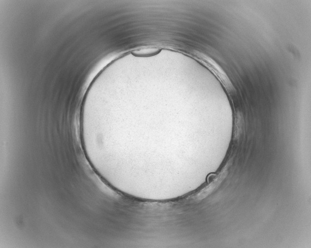 X0000115260812200911271924