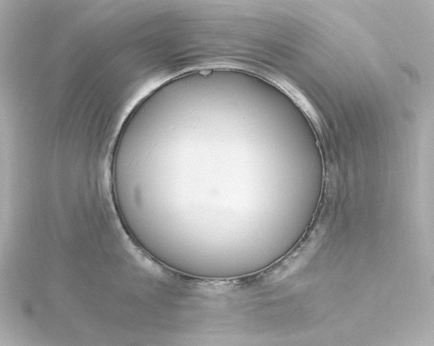 X0000115260813200911271924