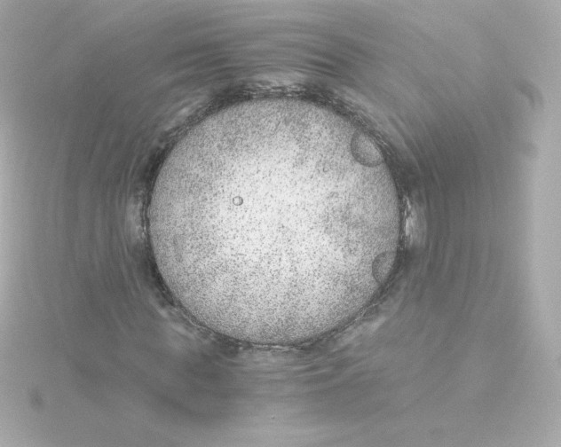 X0000115260819200911271924