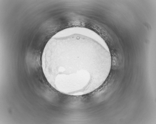 X0000115260820200911271924