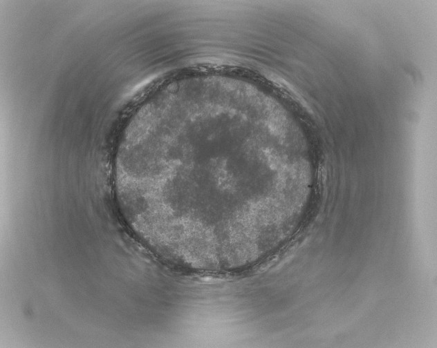 X0000115260822200911271924