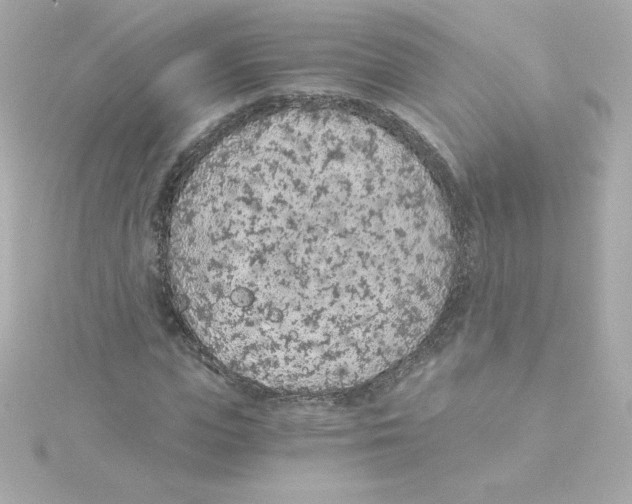 X0000115260823200911271924