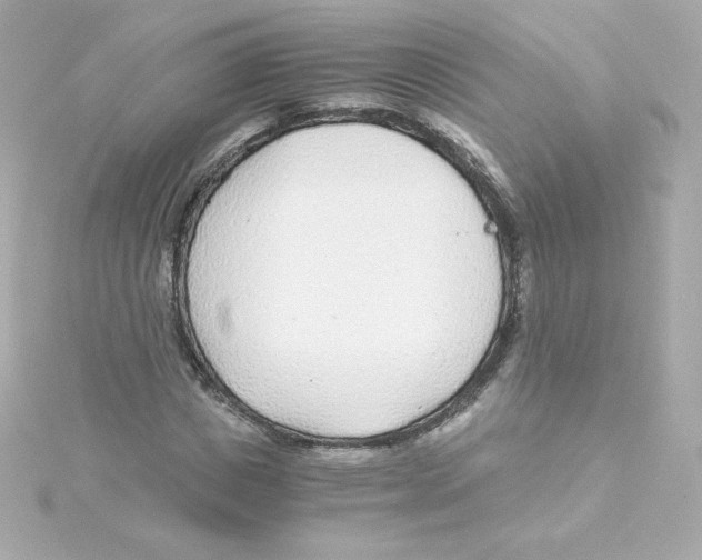 X0000115260825200911271924