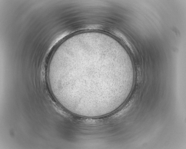 X0000115260827200911271924