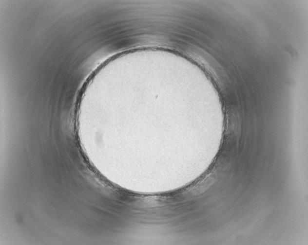 X0000115260828200911271924