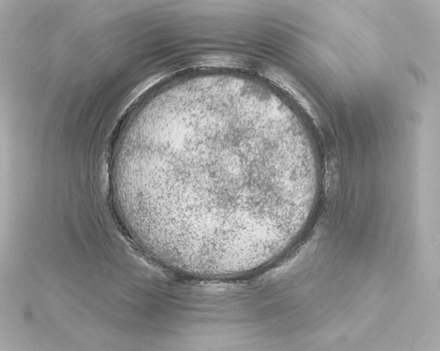 X0000115260829200911271924