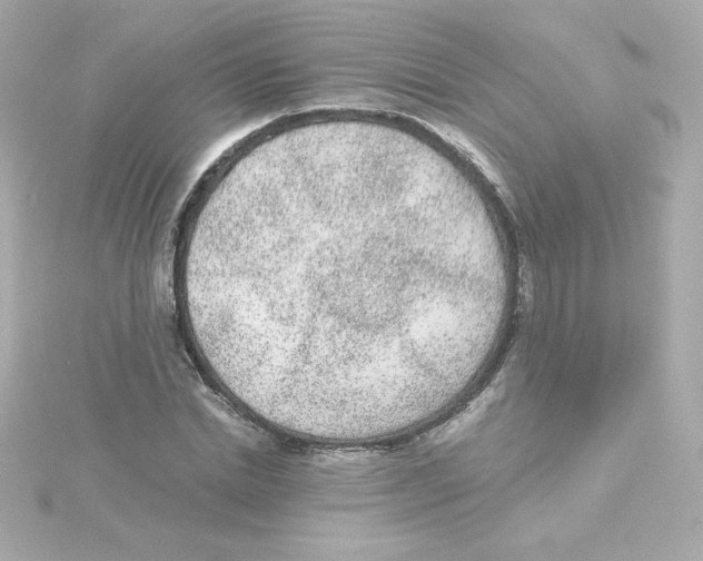 X0000115260830200911271924