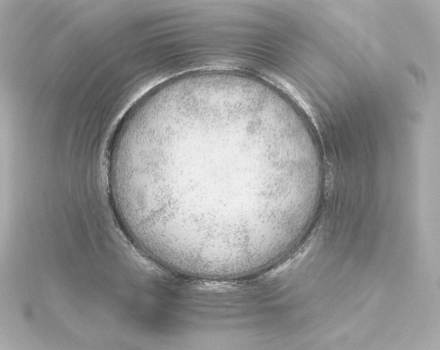 X0000115260835200911271924