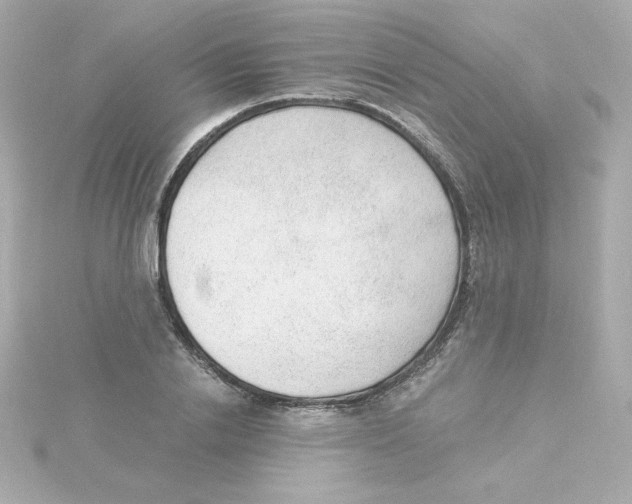 X0000115260838200911271924