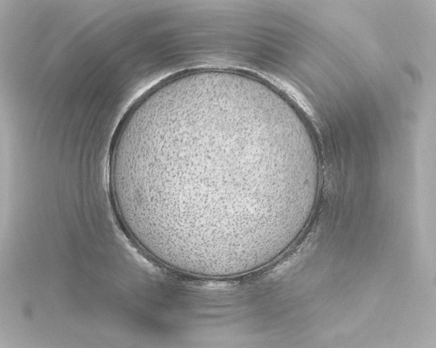 X0000115260839200911271924