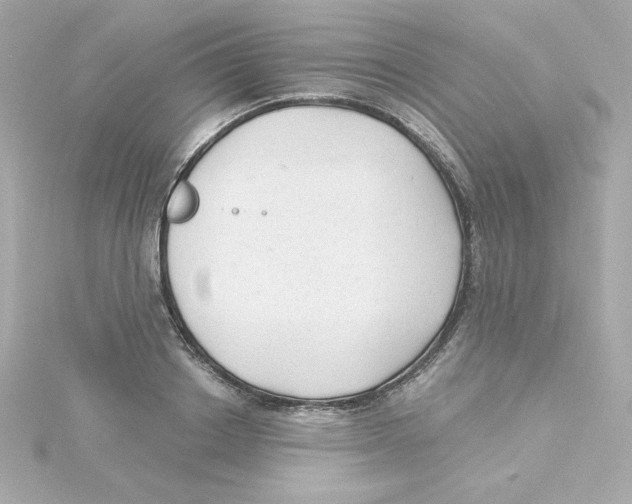 X0000115260842200911271924