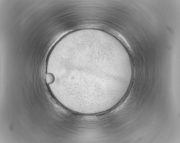 X0000115260844200911271924