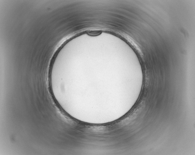 X0000115260845200911271924