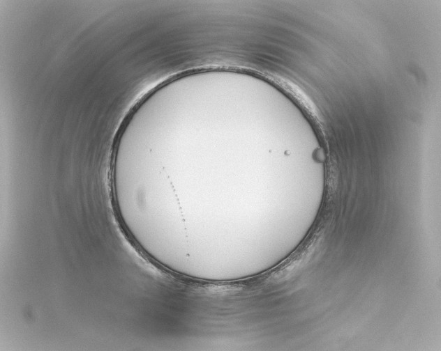 X0000115260847200911271924