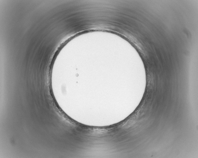 X0000115260848200911271924