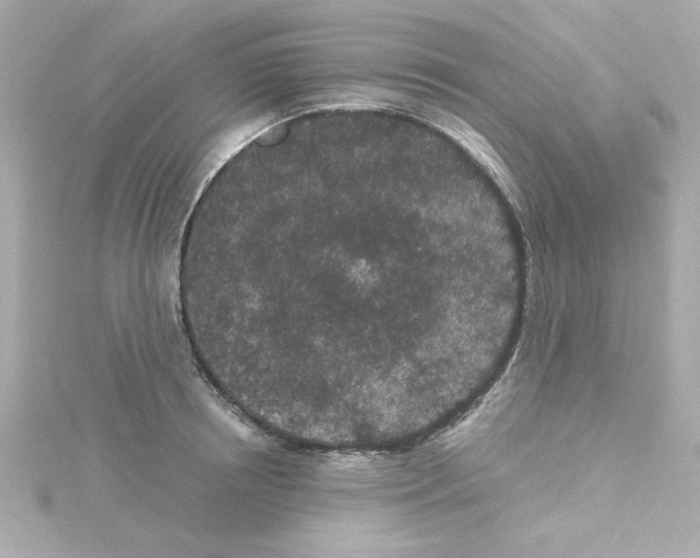 X0000115260850200911271924