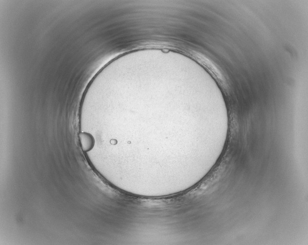 X0000115260852200911271924