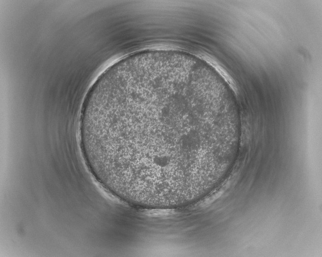 X0000115260853200911271924