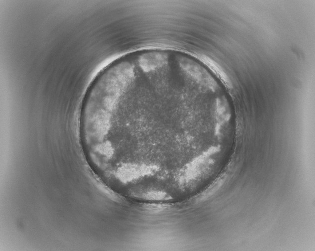 X0000115260854200911271924