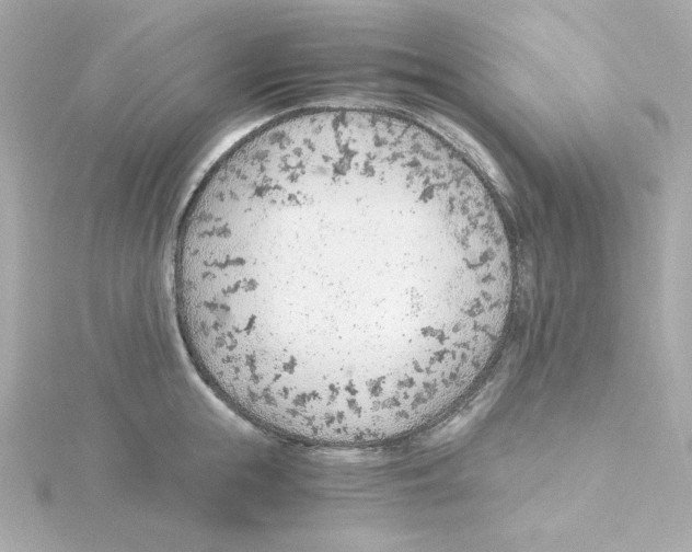 X0000115260855200911271924