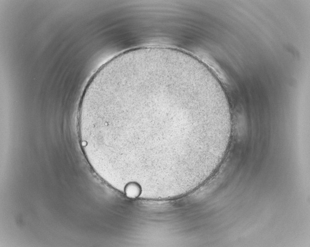 X0000115260856200911271924