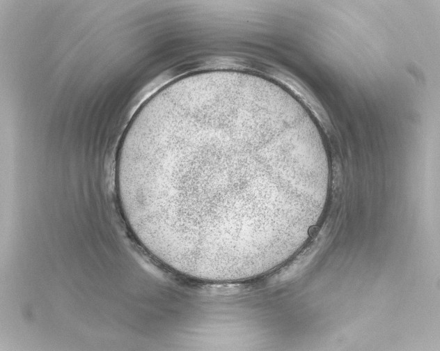 X0000115260858200911271924